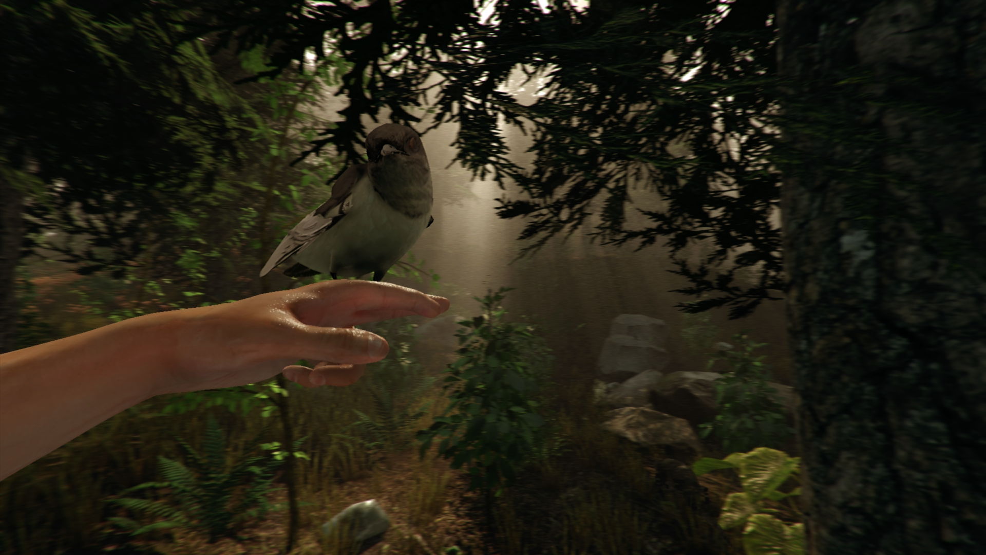 the forest vr controls rift