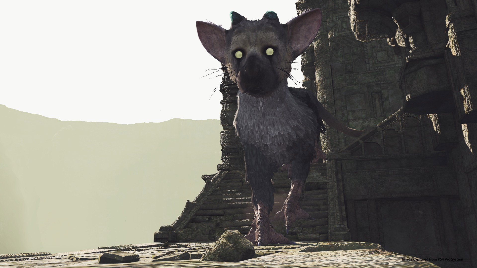 the last guardian vr ps4